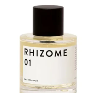 Rhizome 01