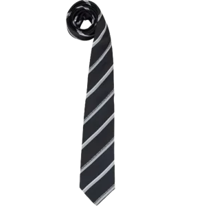 Cravatta Uomo 55058 M5508 COL 006 – CRAVATTA – Love Moschino