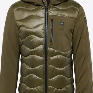 Blauer Giubbino Imbottito Piuma/Ovatta verde militare