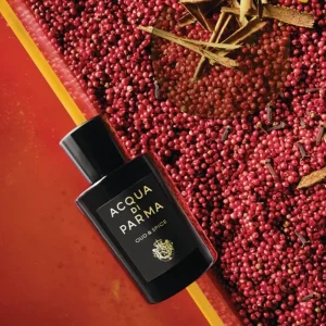 Acqua di Parma Oud & Spice EDP 100ml